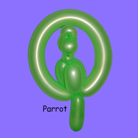 Parrot balloon twisting